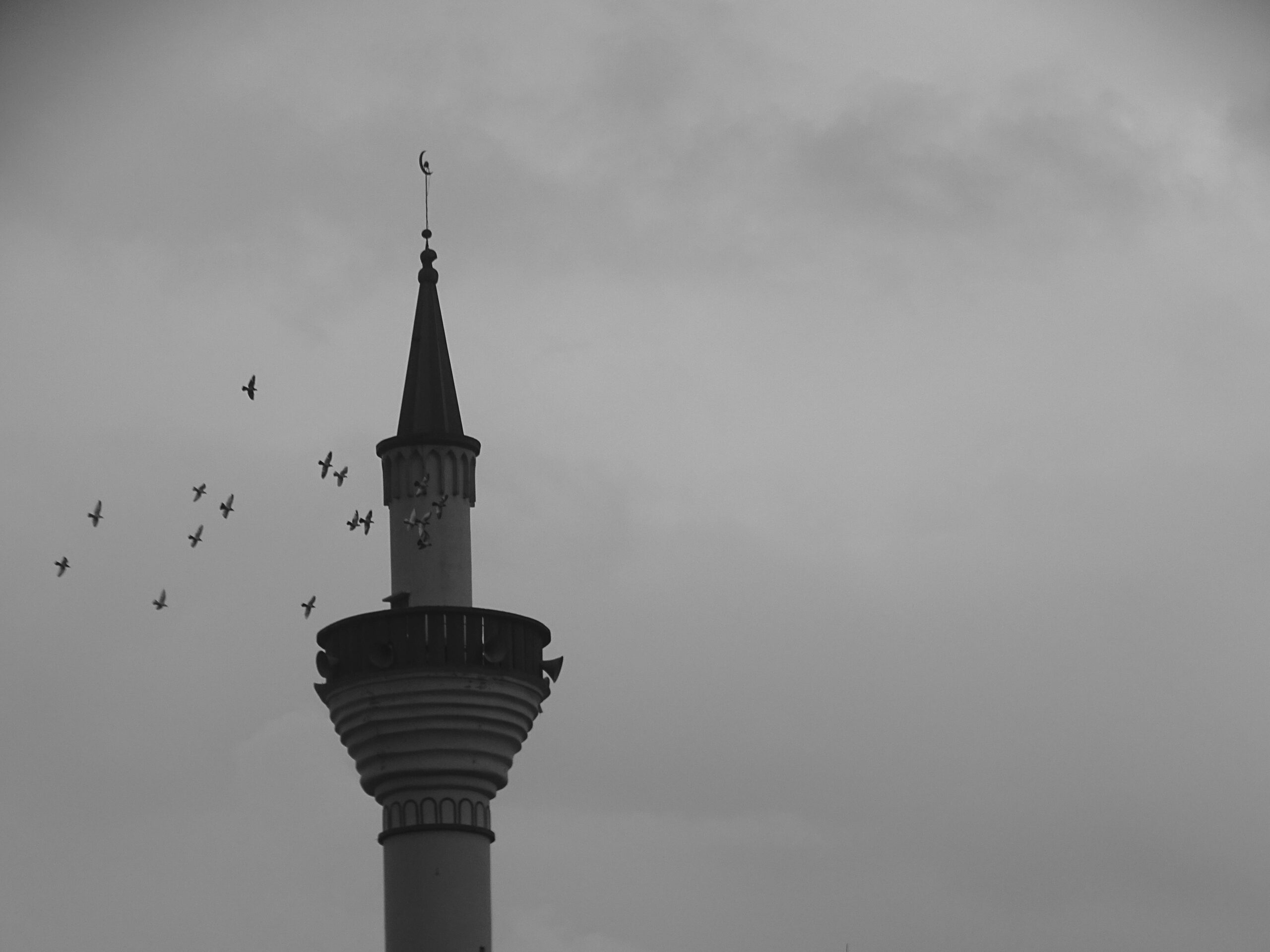 A striking silhouette of a minaret with a flock of birds in flight against a cloudy sky.